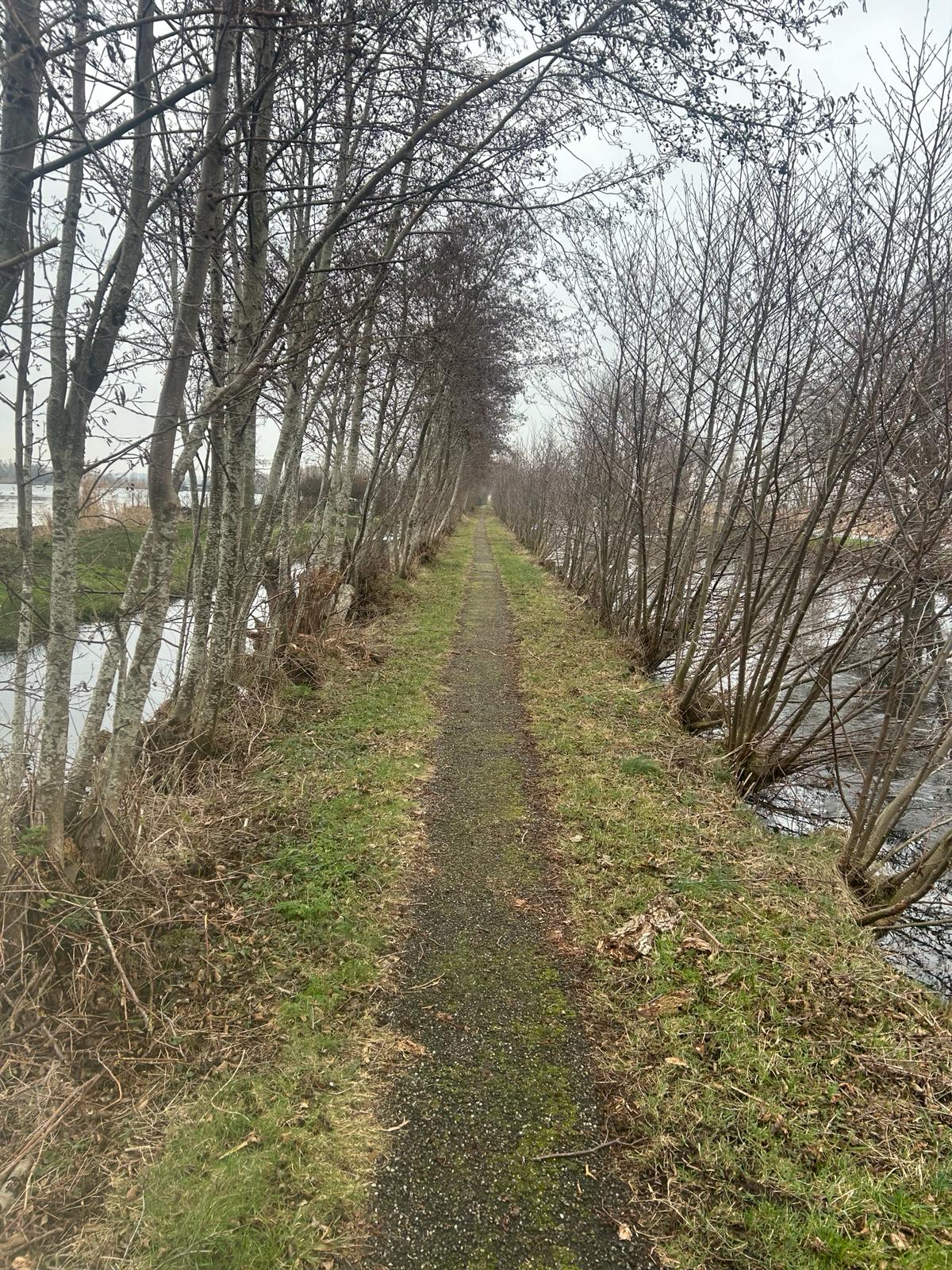 De Reeuwijkse plassen