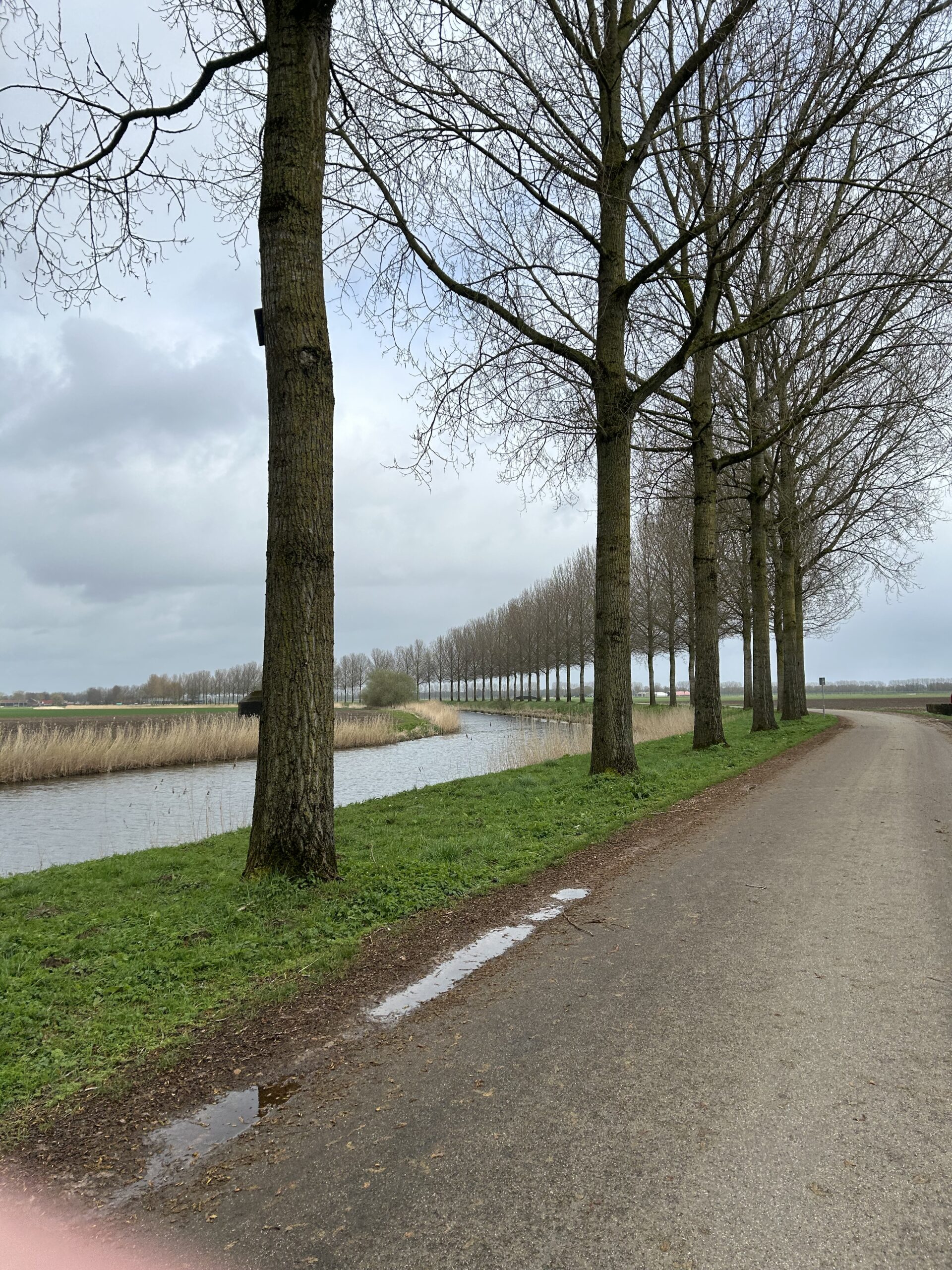 30 km (De Biesbosch)